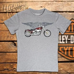 Harley Davidson, moto, bike, biker, мото, байк